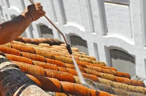 Nettoyage de toitures - Niederentzen